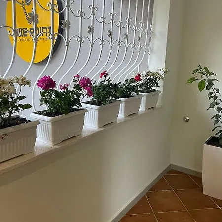 4seasonsgea , Cozy In Position , Appartamento Tirana