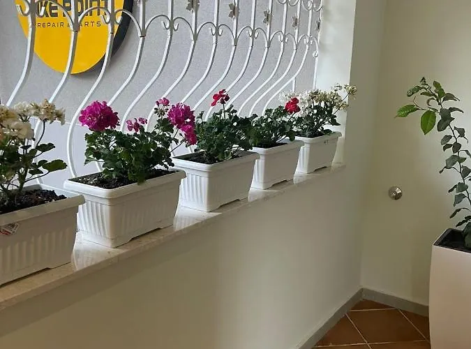 4seasonsgea , Cozy In Position , Lägenhet Tirana